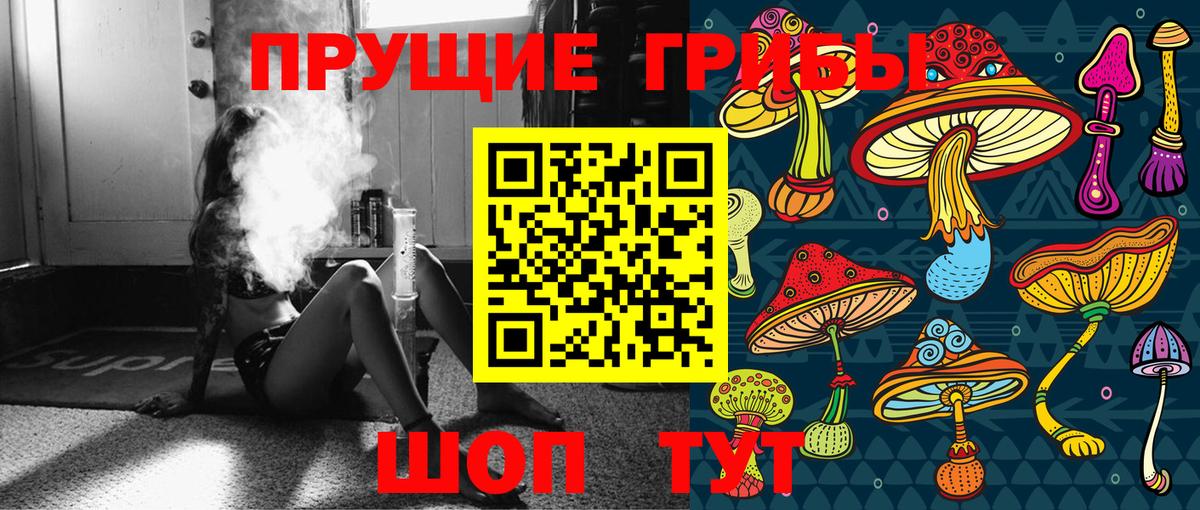 Псилоцибиновые грибы Cubensis Майкоп