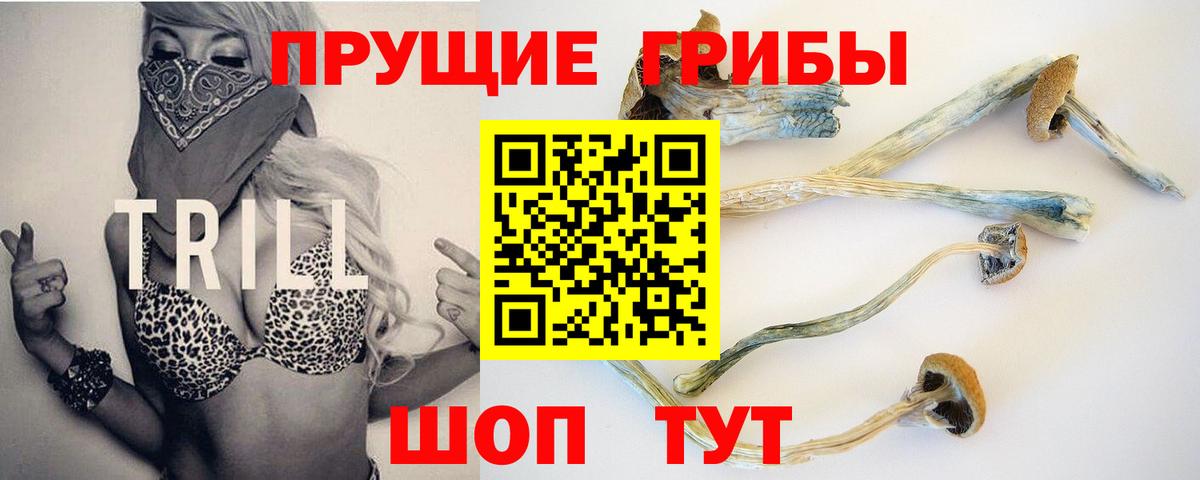 наркошоп  Вход с VPN  Майкоп  Псилоцибиновые грибы Psilocybe 